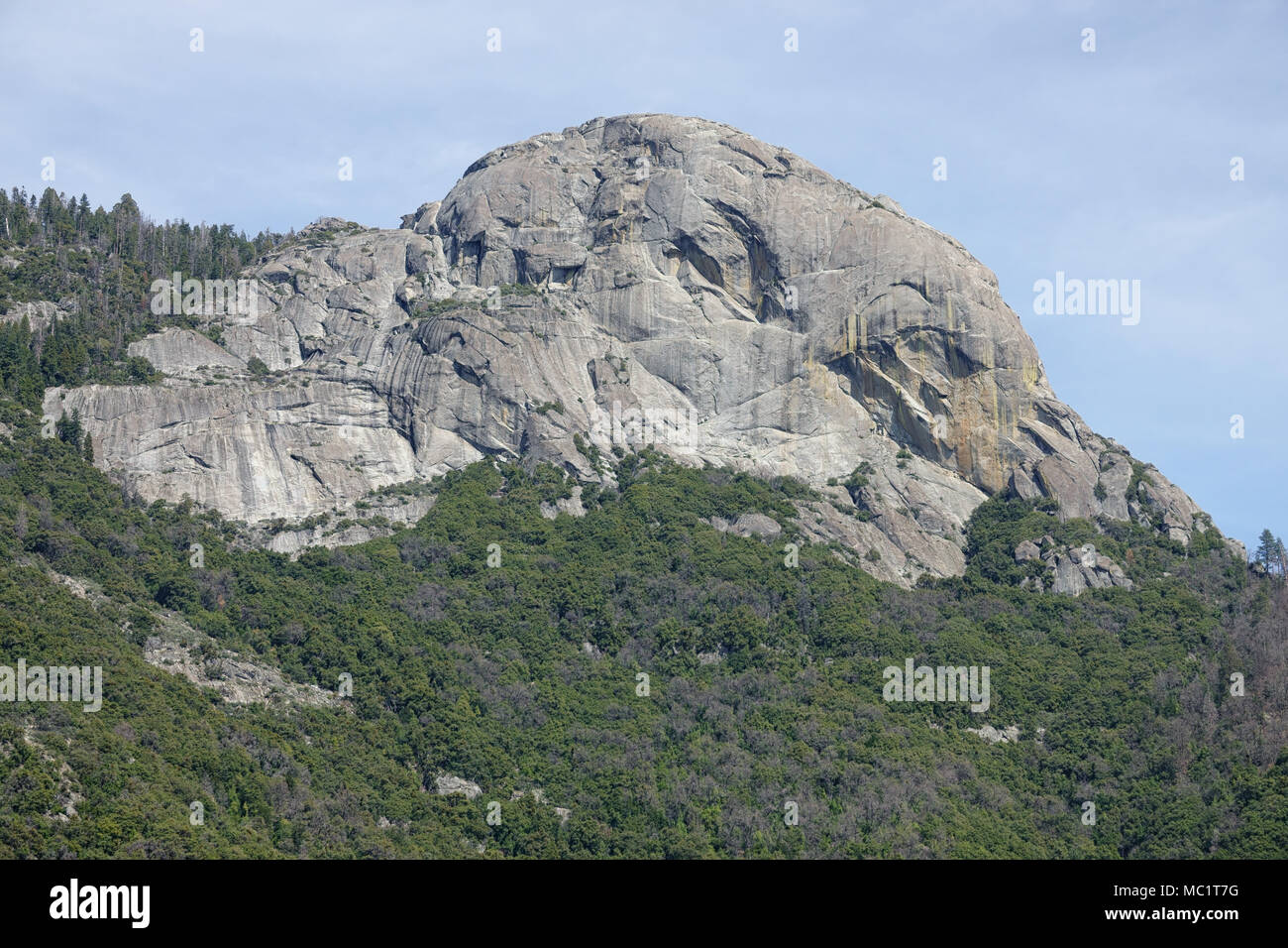 Moro Rock - une forme de dôme, monolithe de granit - est illustré dans une journée, vue lointaine. Le rocher est dans le centre de la Californie Sequoia National Park. Banque D'Images