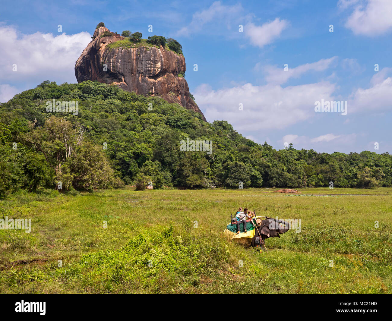 Vue horizontale d'un éléphant qui pose en face de Sigiriya ou Lion's Rock au Sri Lanka. Banque D'Images