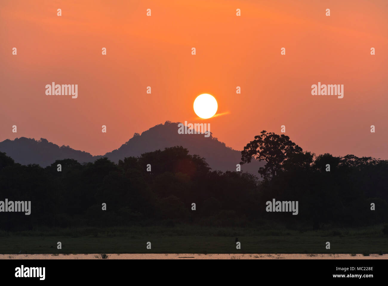 Vue horizontale du soleil au-dessus du réservoir de Minneriya au parc national au Sri Lanka. Banque D'Images