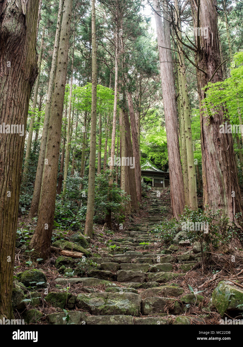 Ruines du temple, Sentoji Kunisaki, Oita, Kyushu, Japon Banque D'Images