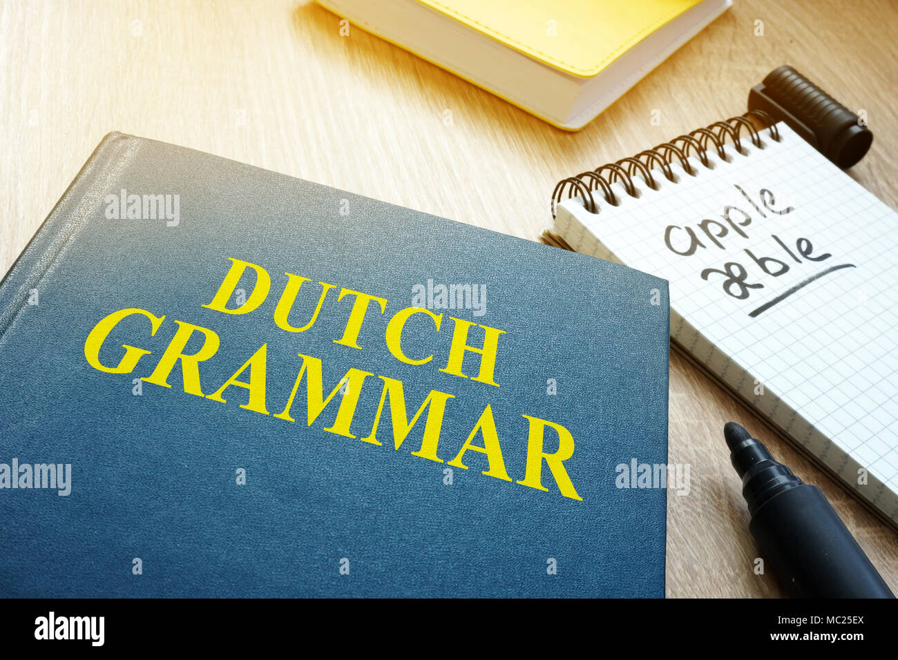 Apprendre la grammaire néerlandaise. Livre et un stylo d'une table. Banque D'Images