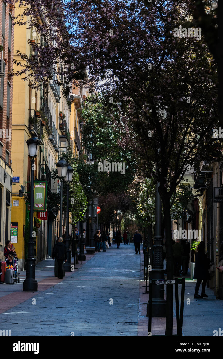 Scène de rue au printemps sur Calle Huertas dans le Barrio de las Letras, Madrid, avec les touristes de marcher sous les arbres en fleurs Banque D'Images