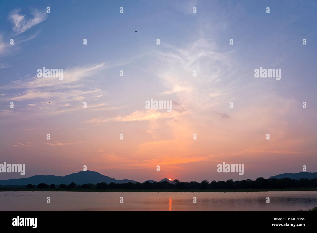 Vue horizontale de soleil sur le parc national de Minneriya au Sri Lanka. Banque D'Images