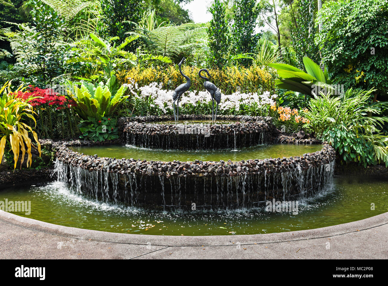 Singapour - le 17 octobre 2014 : Le National Orchid Garden, situé dans le Jardin Botanique de Singapour. Banque D'Images
