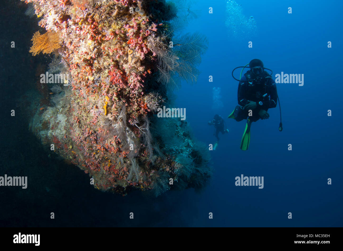 Sous-marine magnifique reefscapes Banque D'Images