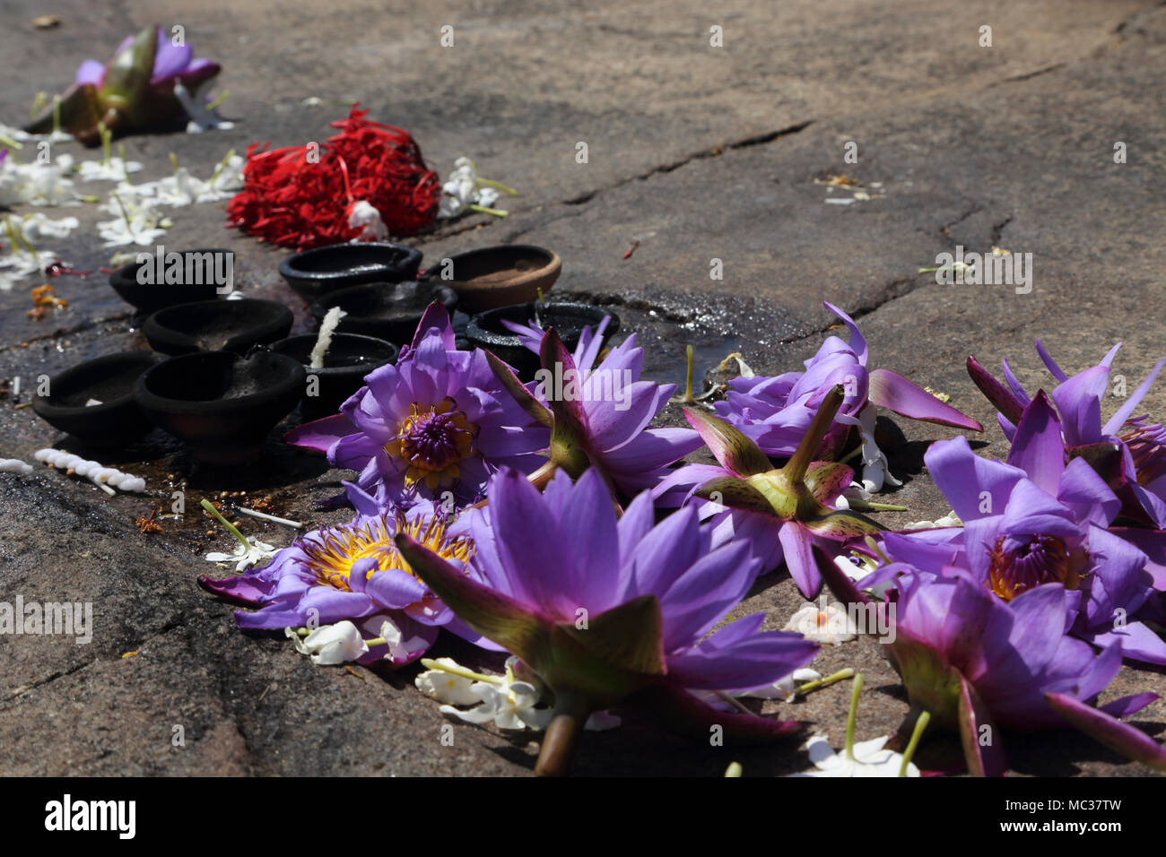 Anuradhapura North Central Province Sri Lanka Jetavanarama Dagoba fleurs de lotus et lampes à beurre Banque D'Images