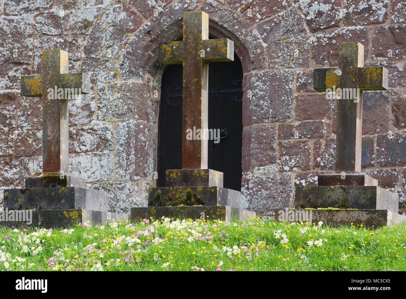 Trois Pierres tombales Crucifix sur une colline de fleurs herbe par St Mary The Virgin's Church. Bickleigh, Tiverton, Devon, UK. Avril, 2018. Banque D'Images