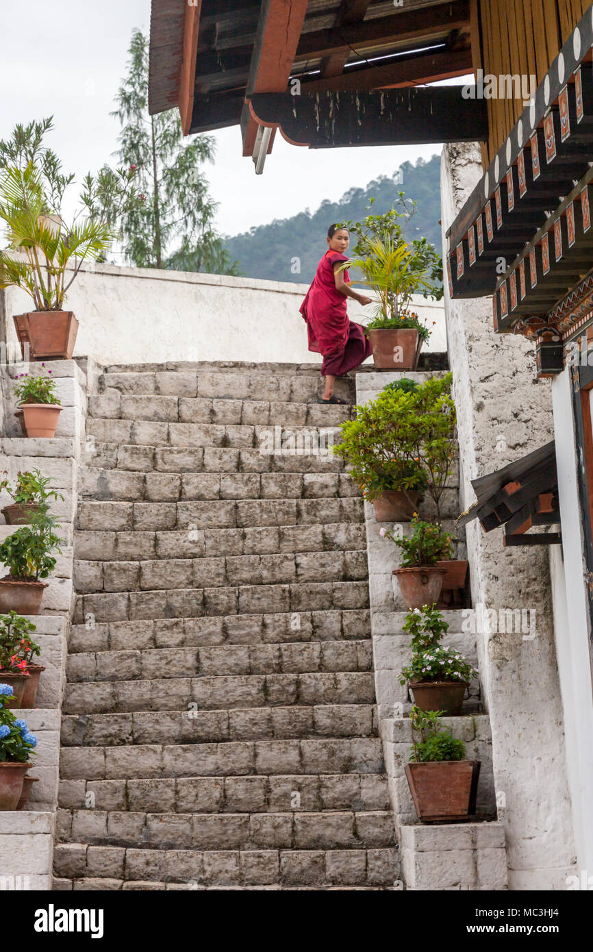 Le point de vue de la Punakha Dzong considéré comme palais de le grand bonheur à Punakha, Bhoutan Banque D'Images