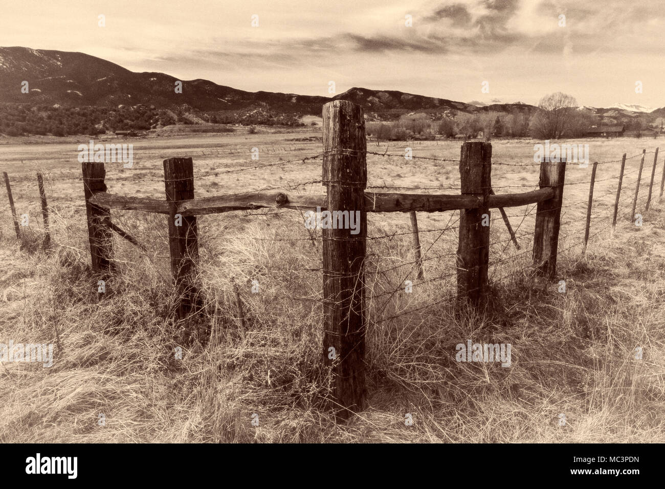 Infrarouge ; noir et blanc en bois de fencepost et de barbelés ; Vandaveer Ranch ; Salida, Colorado, USA Banque D'Images