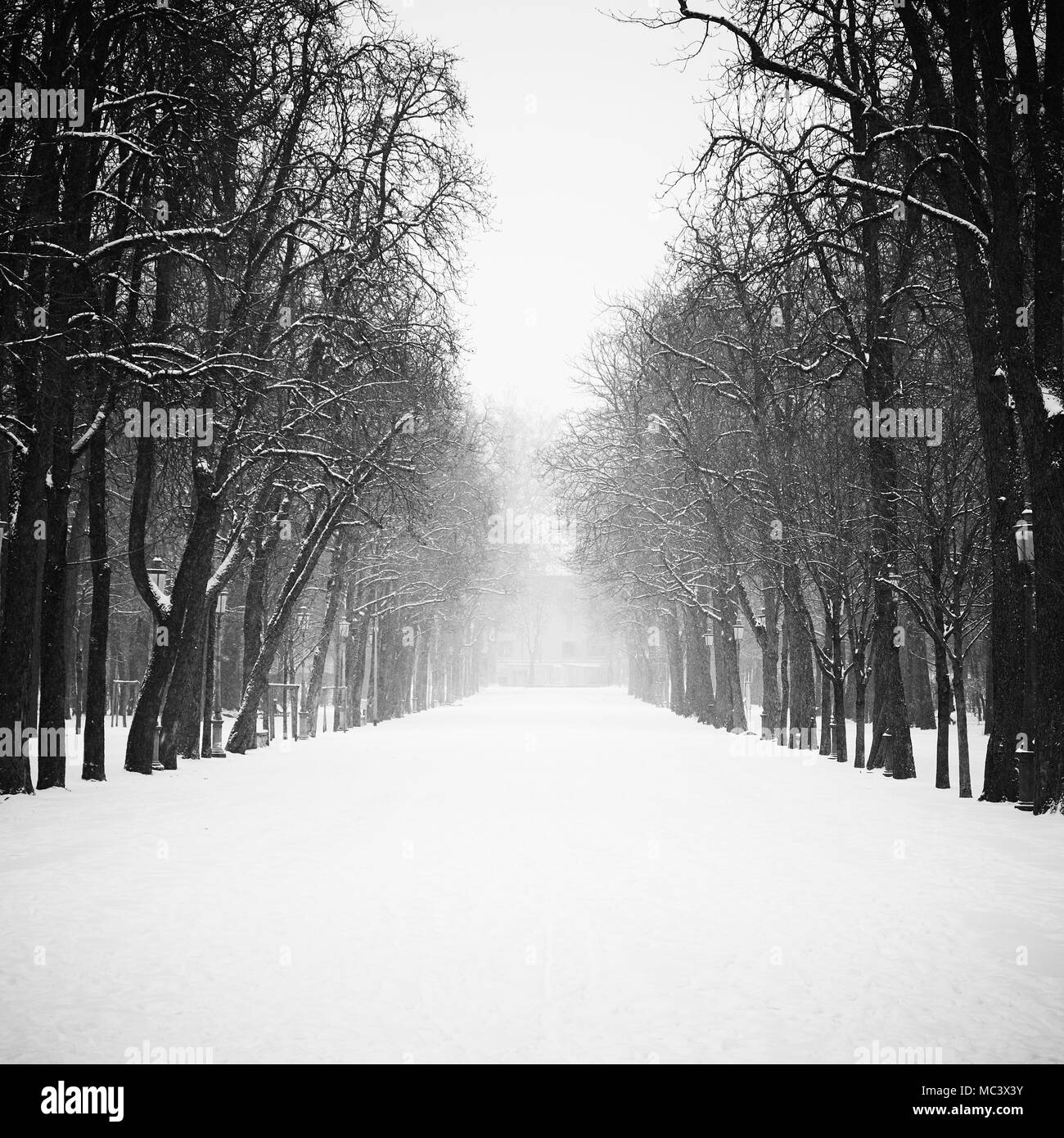 Parc de la ville sous la neige, Parme, Italie Banque D'Images