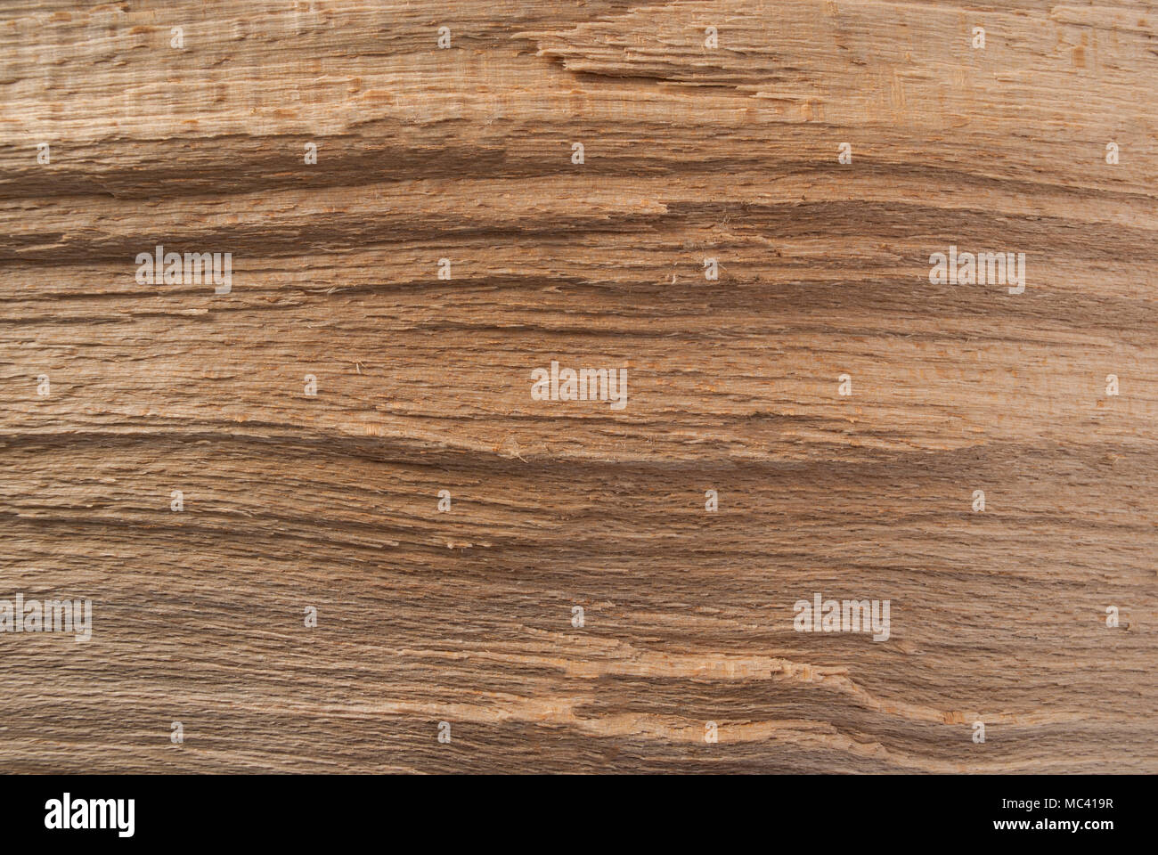Belle texture bois naturel de motif Banque D'Images