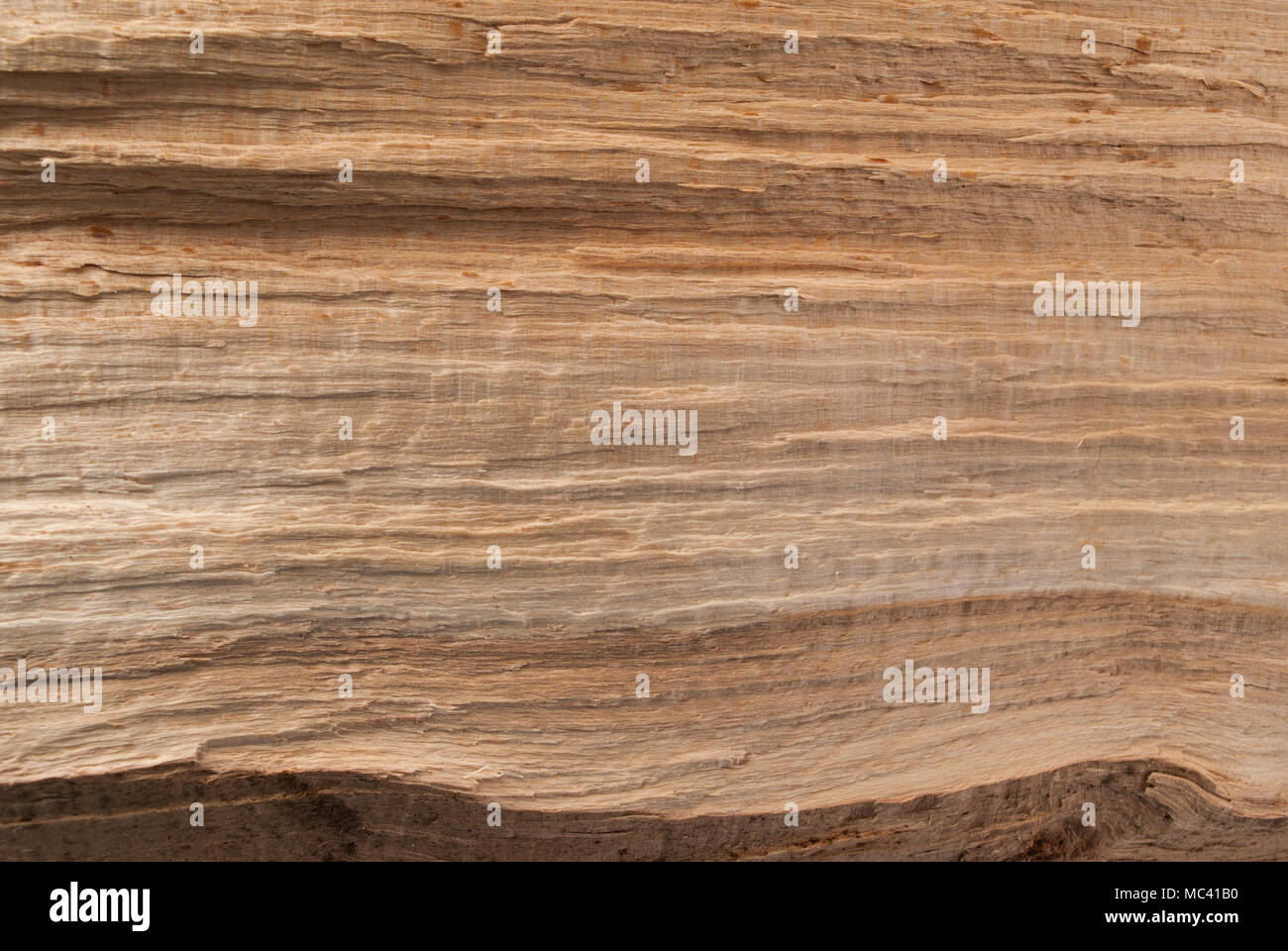 La texture du bois brut et naturel modèle pour la conception et la décoration Banque D'Images