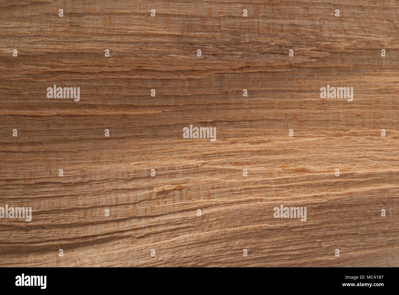 La texture du bois brun. Modèle naturel. Template vide Banque D'Images