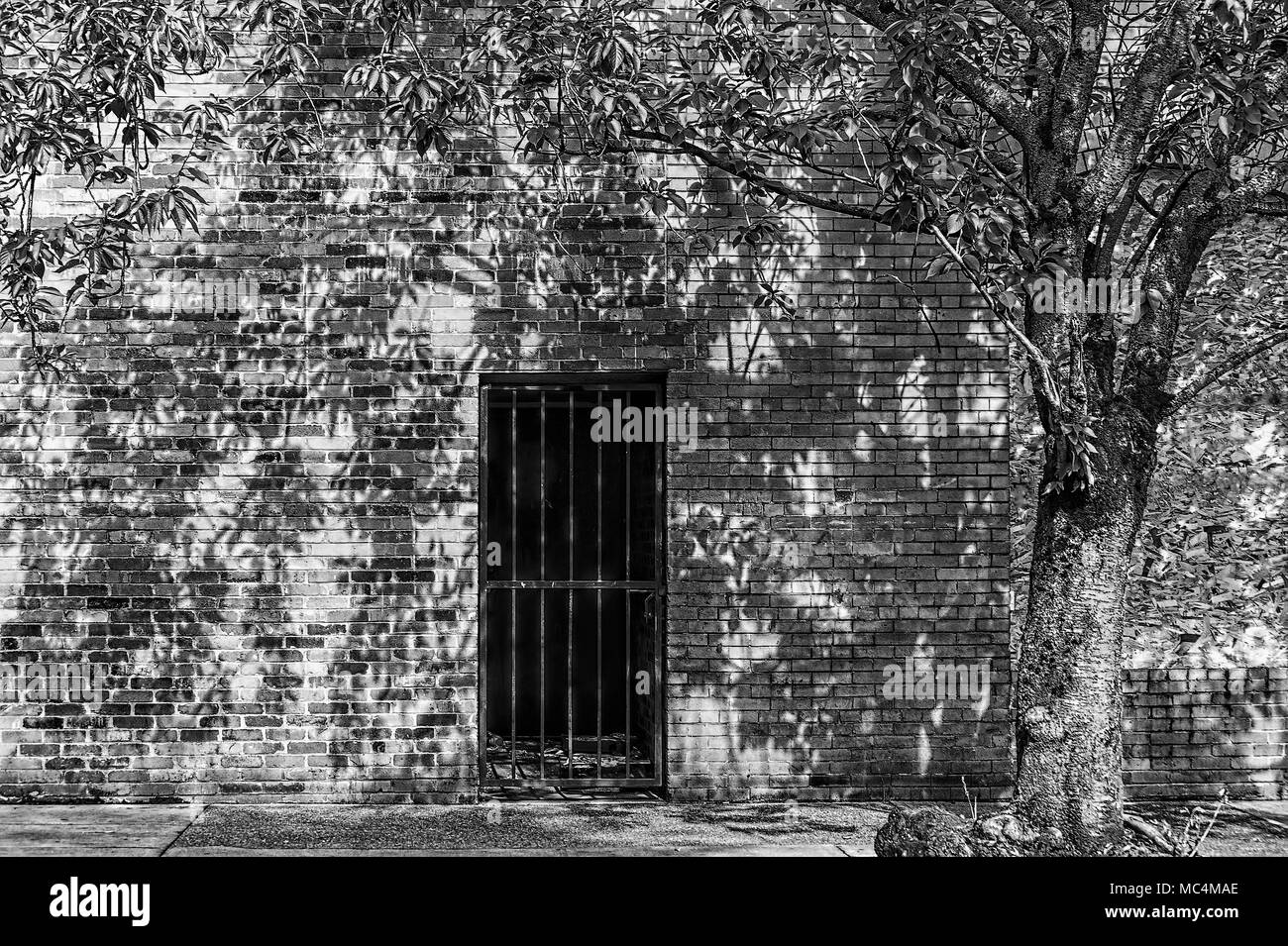 Le noir et blanc de l'immeuble en briques avec fer à repasser entrée fermée et un arbre. Banque D'Images