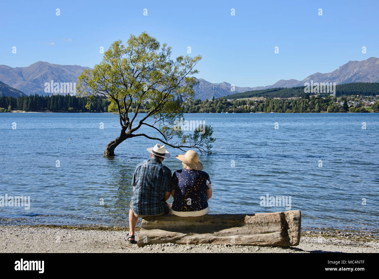 Le célèbre arbre, Lac Wanaka Wanaka, Nouvelle-Zélande Banque D'Images