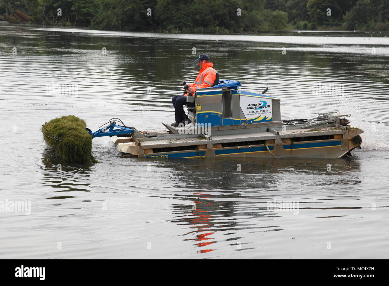 3 une machine amphibie Truxor de collecte et de collecte d'herbes aquatiques en opération à Trentham Gardens, Stoke on Trent Banque D'Images 3 une machine amphibie Truxor de collecte et de collecte d'herbes aquatiques en opération à Trentham Gardens, Stoke on Trent Banque D'Images