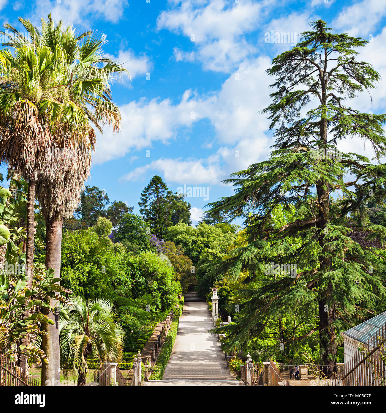 COIMBRA, PORTUGAL - 29 juin : Le Jardin botanique de l'Université de Coimbra le 29 juin 2014 à Coimbra, Portugal Banque D'Images