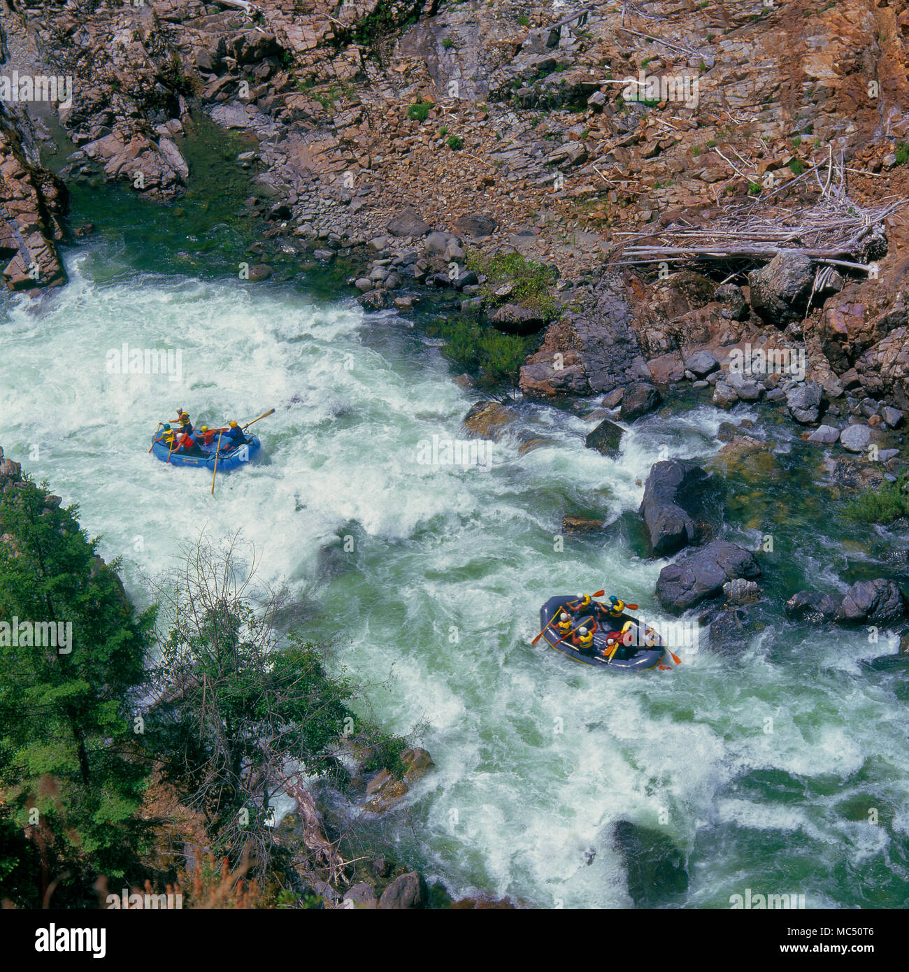 Rafting, rivière à saumons, Klamath National Forest, Californie Banque D'Images