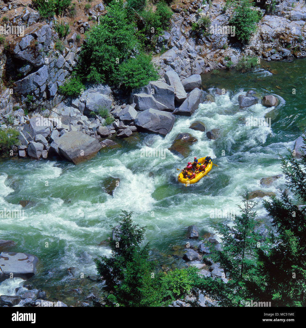 Rafting, rivière à saumons, Klamath National Forest, le comté de Siskiyou, Californie Banque D'Images