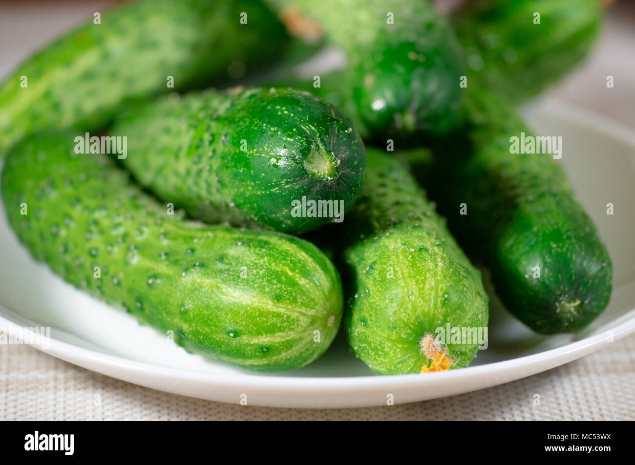 Concombre vert sur plaque blanche close-up avec blur et profondeur de champ Banque D'Images