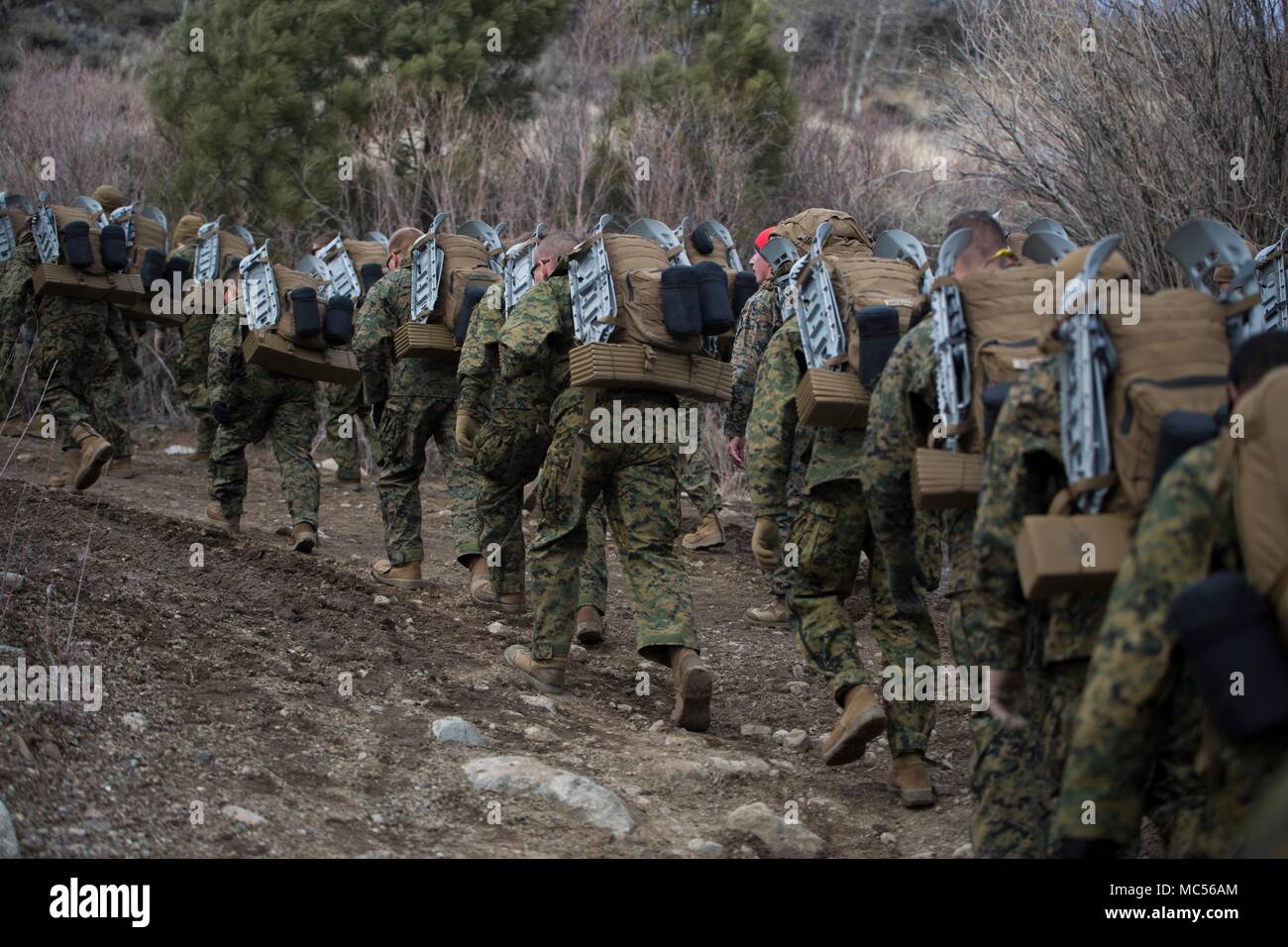 Marines avec la Force Arctic Edge manoeuvrer à travers une montagne lors d'une randonnée dans le cadre de conditionnement froid à Marine Corps Formation Centre de formation de la guerre en montagne, Bridgeport, Californie, le 25 janvier 2018. Environ 90 soldats ont participé à la semaine où ils ont appris les techniques de survie, comment traverser un terrain montagneux et le froid d'entretien d'armes. La formation préparera les Marines de la force conjointe de l'exercice formation Artic Edge dans le nord de l'Alaska, qui exposera des Marines de la péninsule de conditions météorologiques extrêmes. (U.S. Marine Corps photo par le Sgt. Brianna Gaudi) Banque D'Images
