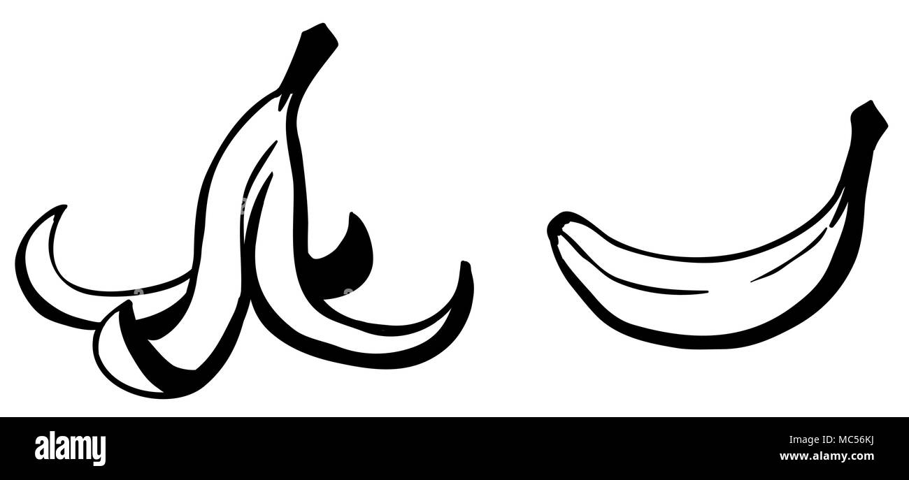 Pelure De Banane Fruit Les Dechets Alimentaires Cartoon Dessin Lineaire Horizontal Noir Et Blanc Illustration Vectorielle Isole Image Vectorielle Stock Alamy