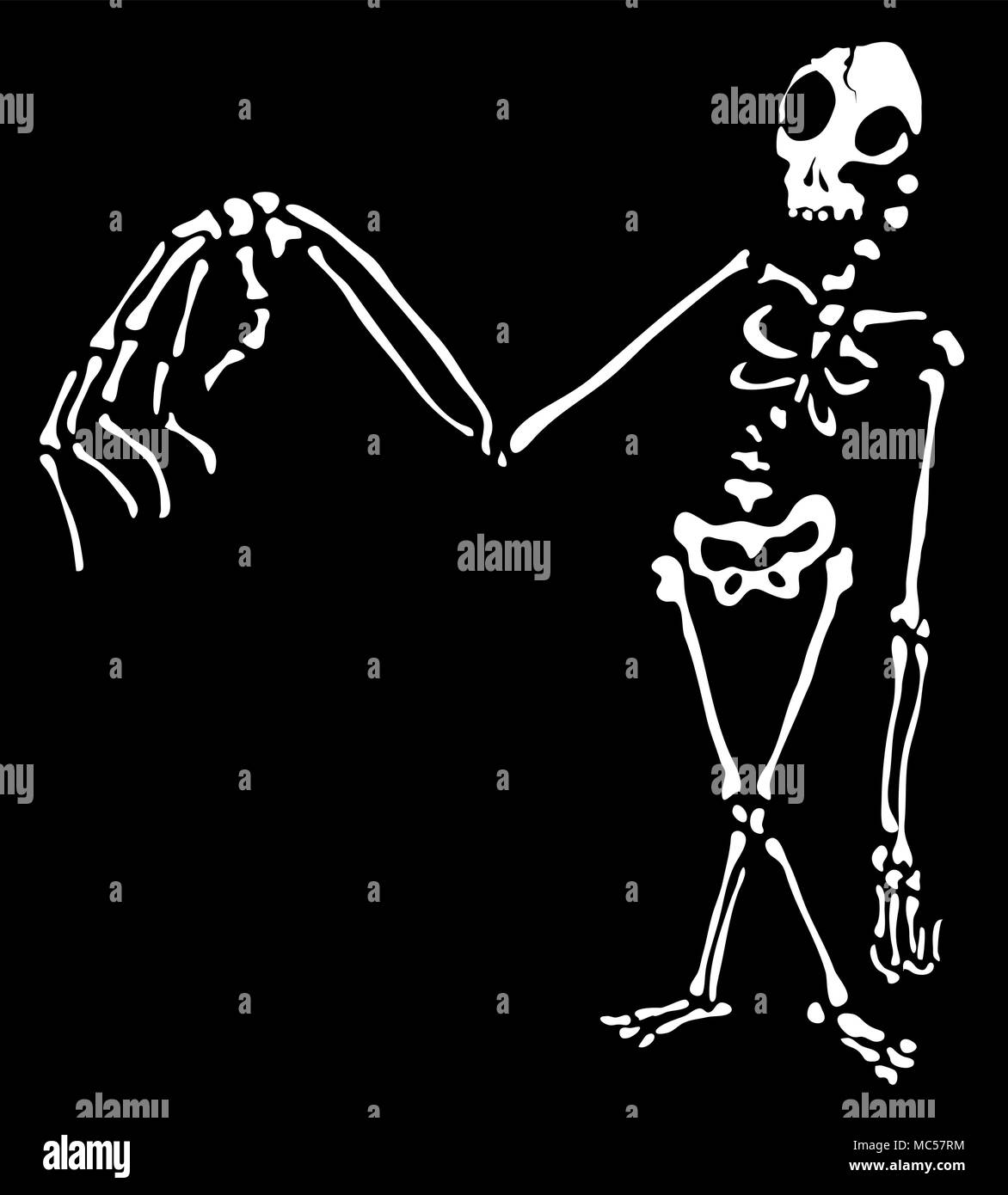 Halloween squelette personnage silhouette blanche, illustration vectorielle, horizontal, isolé Illustration de Vecteur