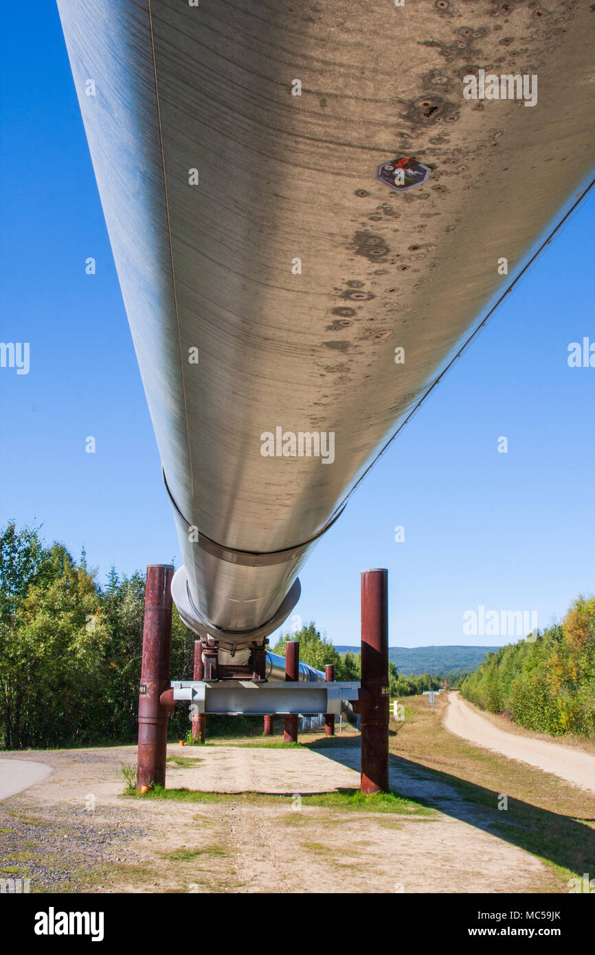 Pipeline de l'Alaska à Fairbanks, en Alaska. Banque D'Images