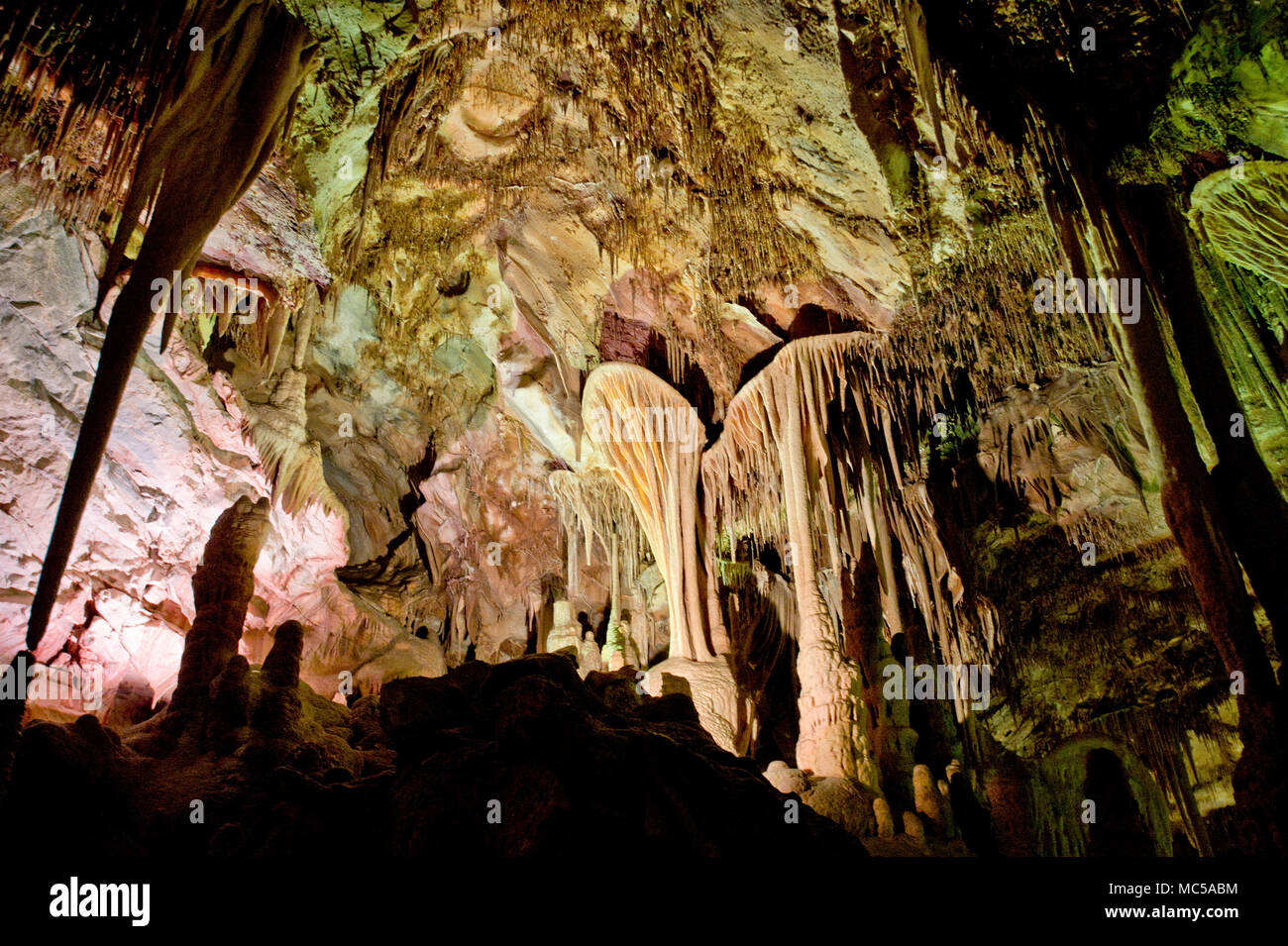 À l'intérieur de la grotte de Lehman en Parc National du Grand Bassin, NEVADA USA Banque D'Images