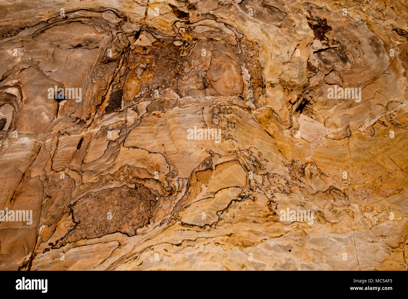Liesegaulang (ou bandes) Liesegang en grès, San Rafael Swell, Utah Banque D'Images