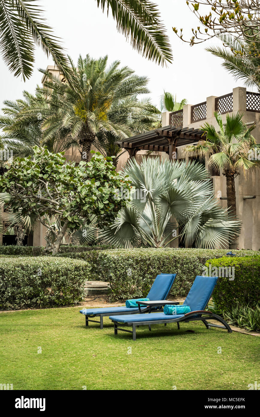 Des chaises longues de plage bleu sur la pelouse de la plage de Jumeirah à Dubaï, Émirats arabes unis, au Moyen-Orient. Banque D'Images