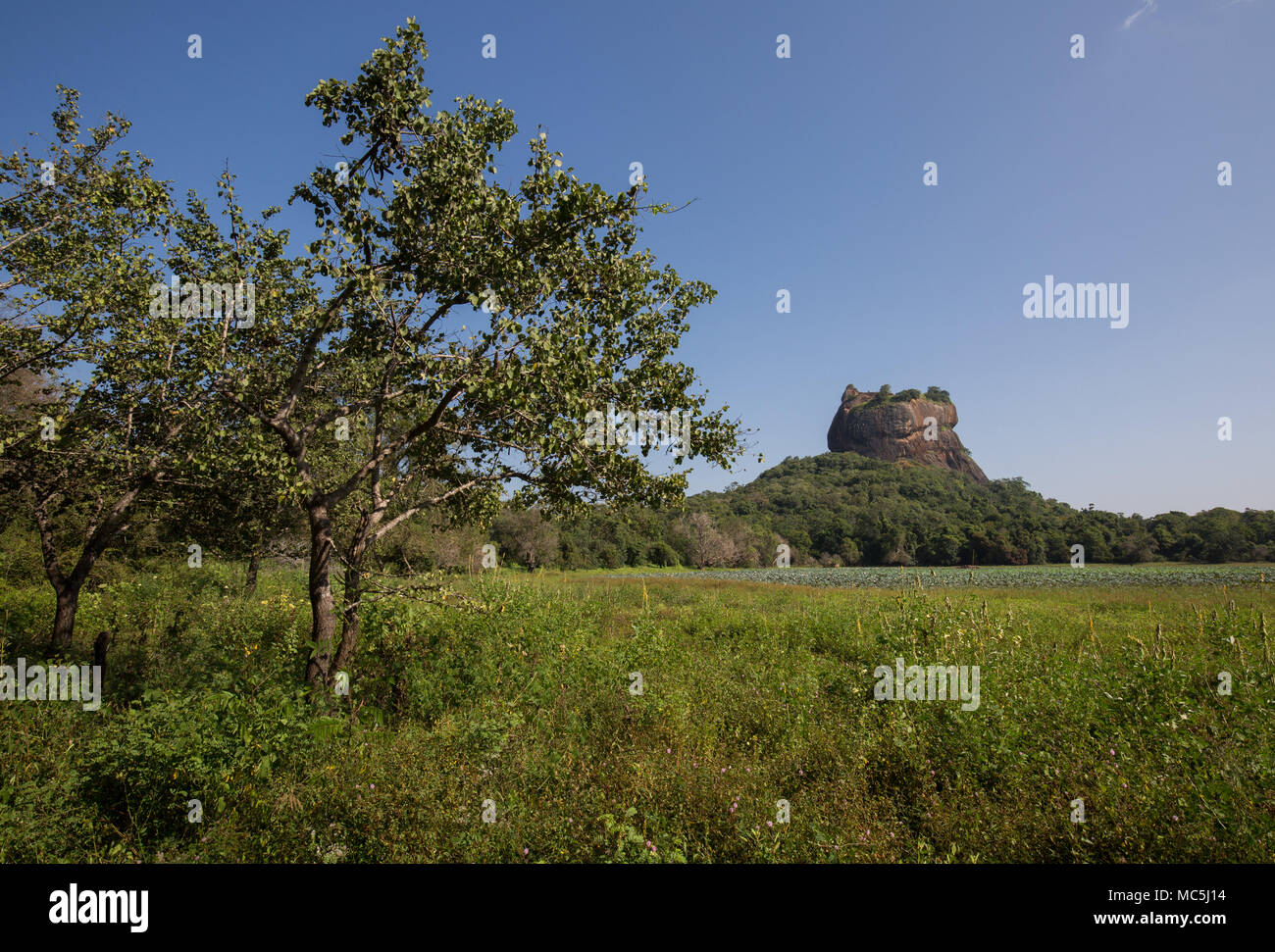 Vue de la forteresse du Rocher de Sigiriya, la Province du Centre, au Sri Lanka, en Asie. Banque D'Images