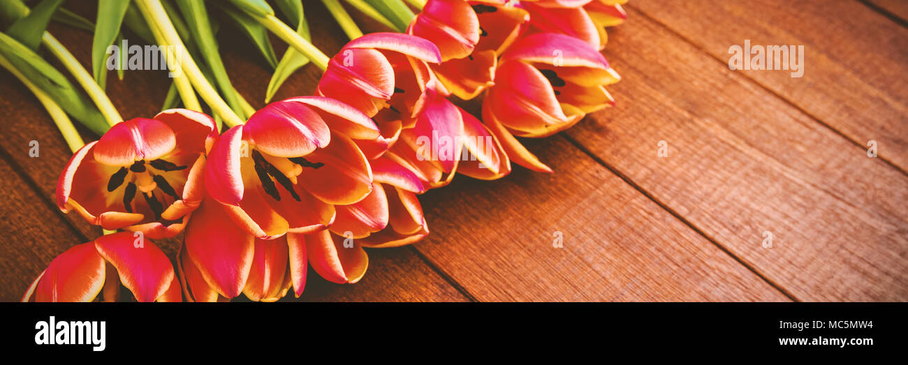 Fleurs sur plancher en bois Banque D'Images Fleurs sur plancher en bois Banque D'Images