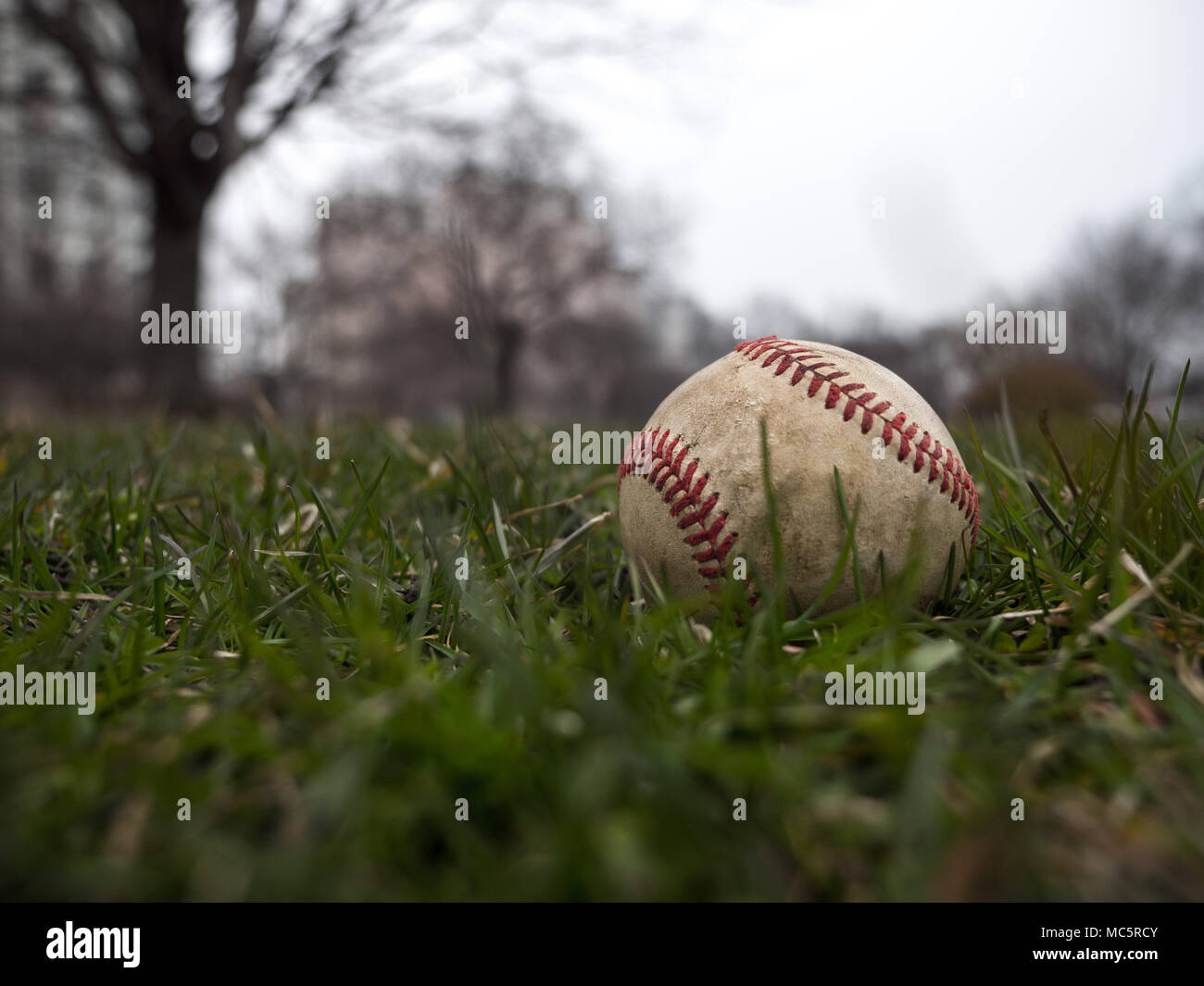 Close up sports image d'arrière-plan d'une vieille balle de baseball en cuir patiné pose dans l'herbe à l'extérieur sur le terrain montrant des détails et la texture Banque D'Images