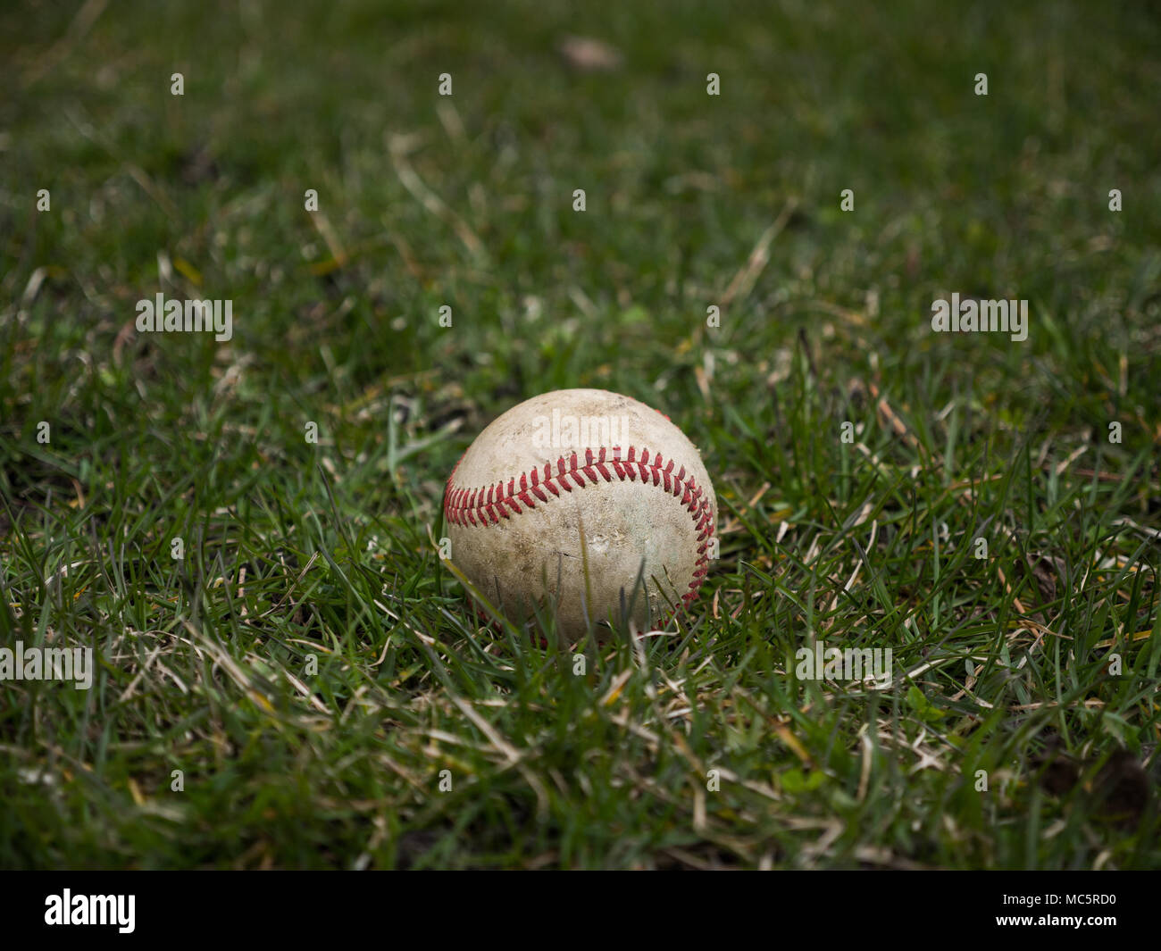 Close up sports image d'arrière-plan d'une vieille balle de baseball en cuir patiné pose dans l'herbe à l'extérieur sur le terrain montrant des détails et la texture Banque D'Images