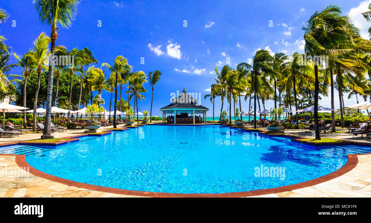 Vous pourrez vous détendre dans le luxe de l'île Maurice avec une pooland,voir des palmiers. Banque D'Images