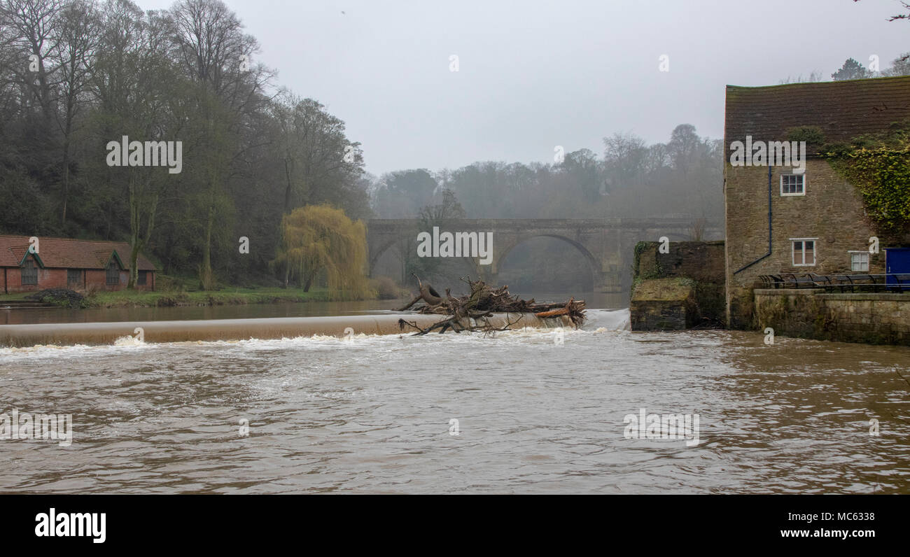 Jour brumeux sur la rivière à la recherche d'usure vers Prebend's Bridge Banque D'Images