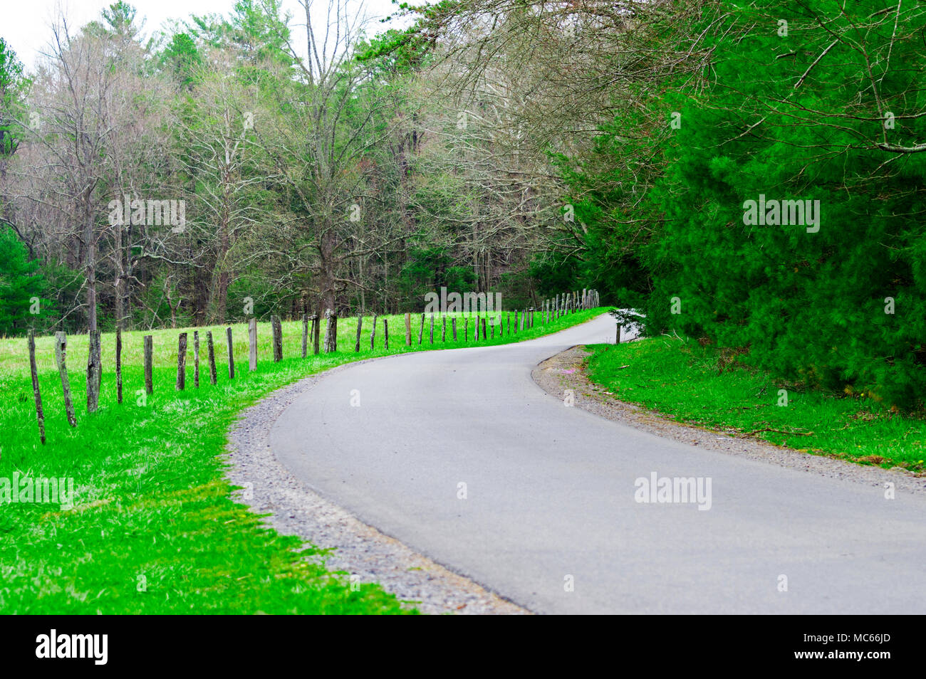 D'un coup horizontal Route sinueuse dans les Smoky Mountains Tennessee Banque D'Images