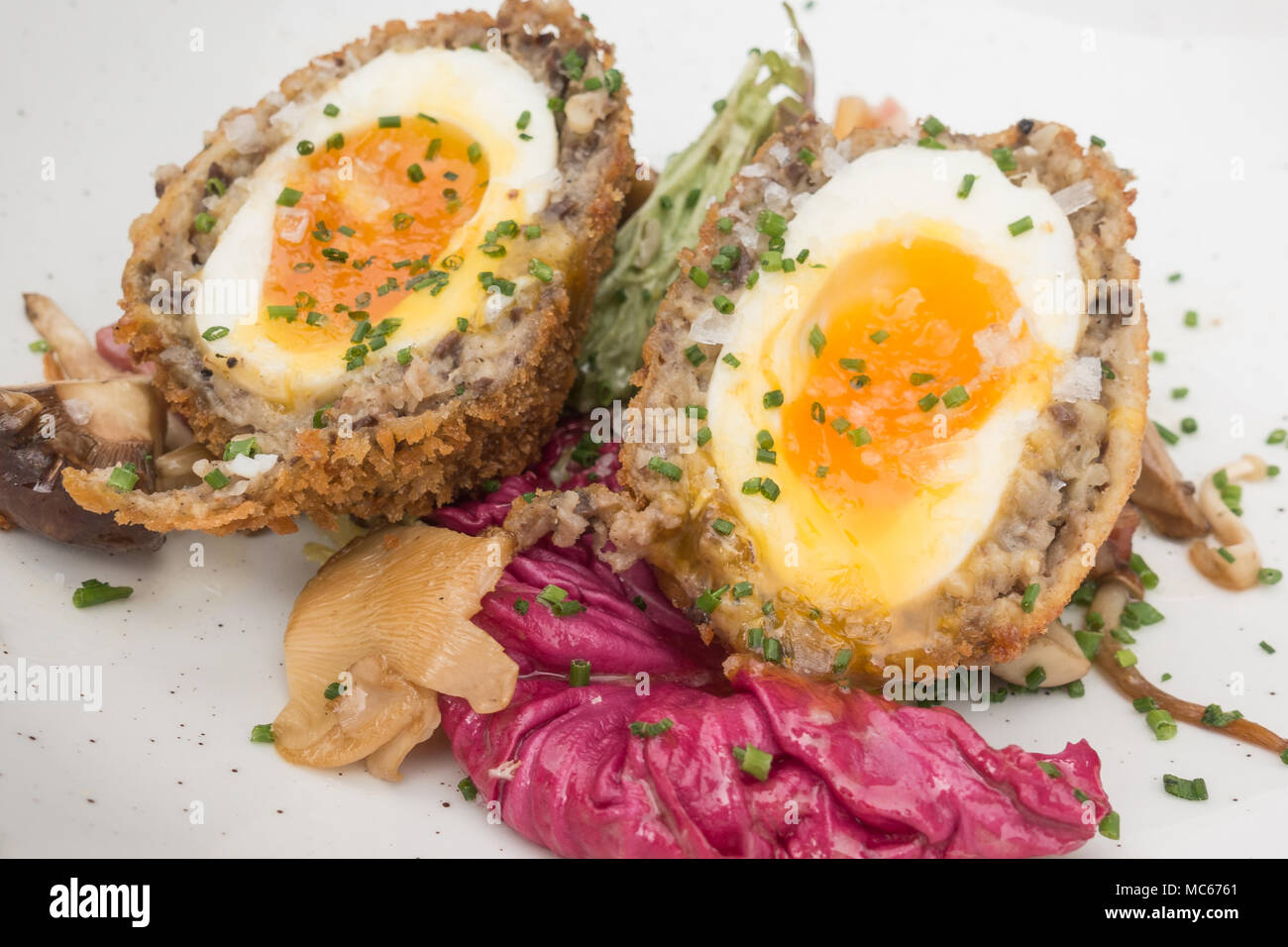 Scotch Egg avec des champignons sauvages, salade et ciboulette on white plate Banque D'Images