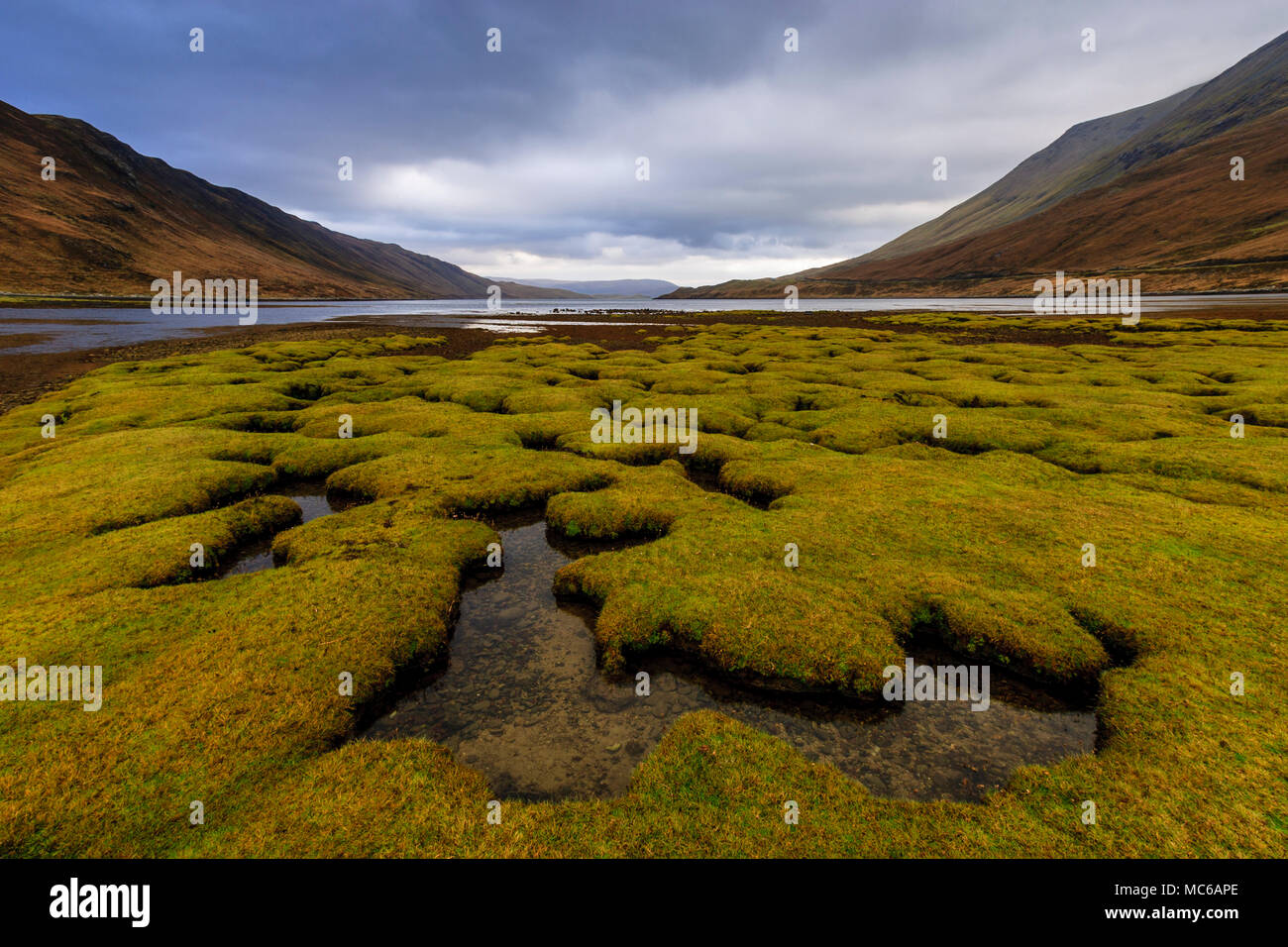 Paysage près de Sligachan, île de Skye, Écosse Banque D'Images