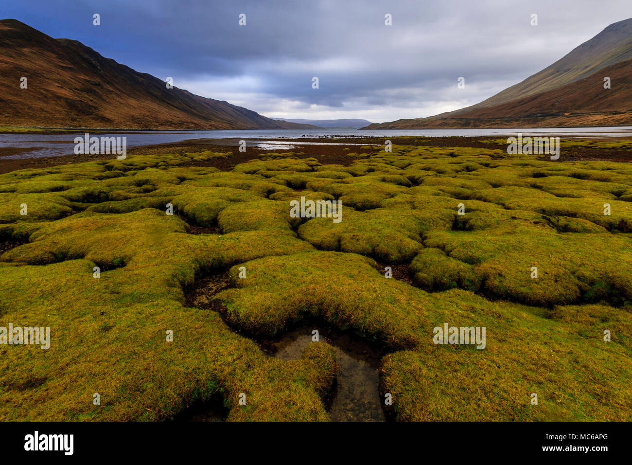 Paysage près de Sligachan, île de Skye, Écosse Banque D'Images