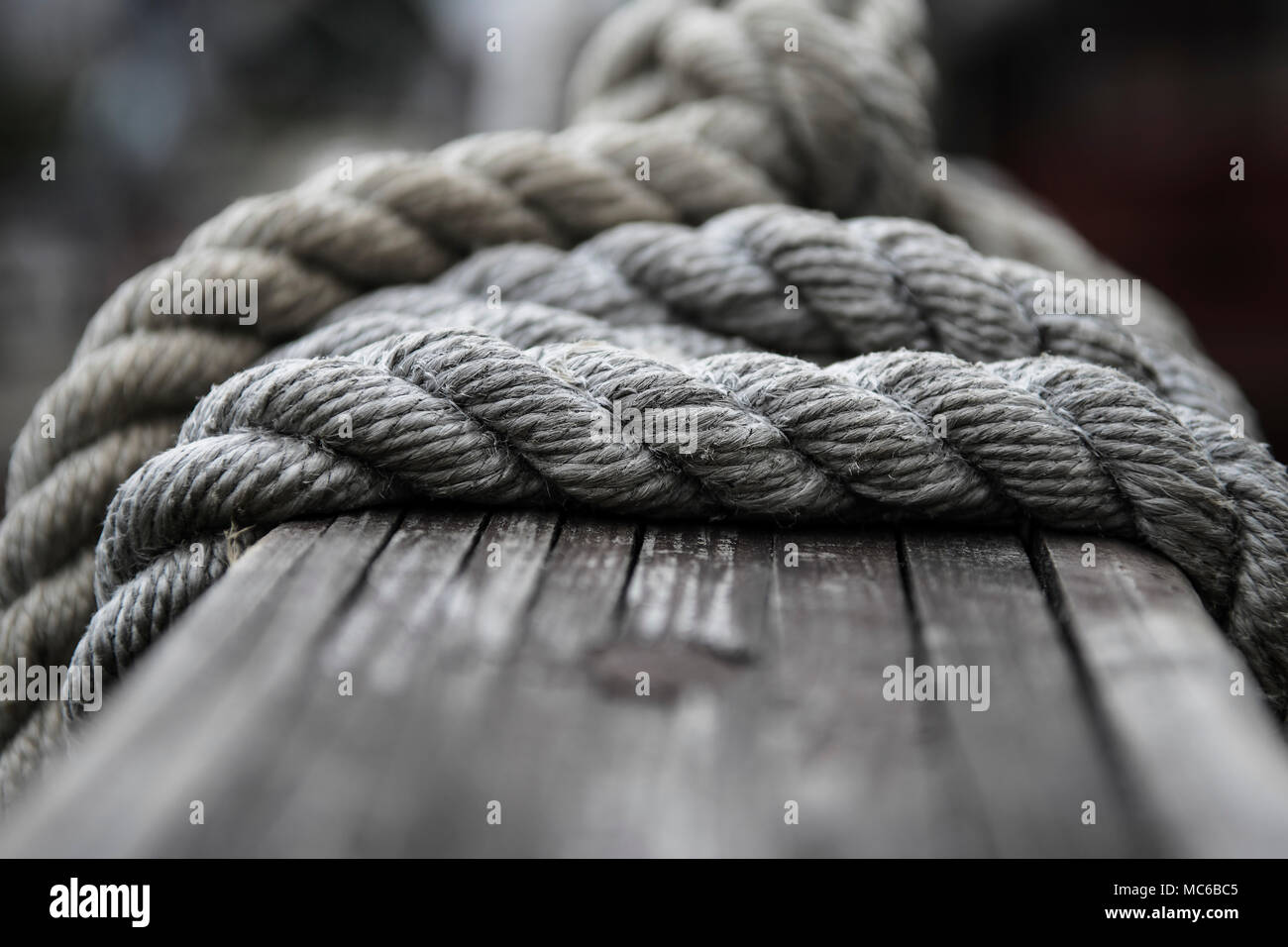 Des cordes d'un vieux bateau à voile, close-up. SDF. Banque D'Images