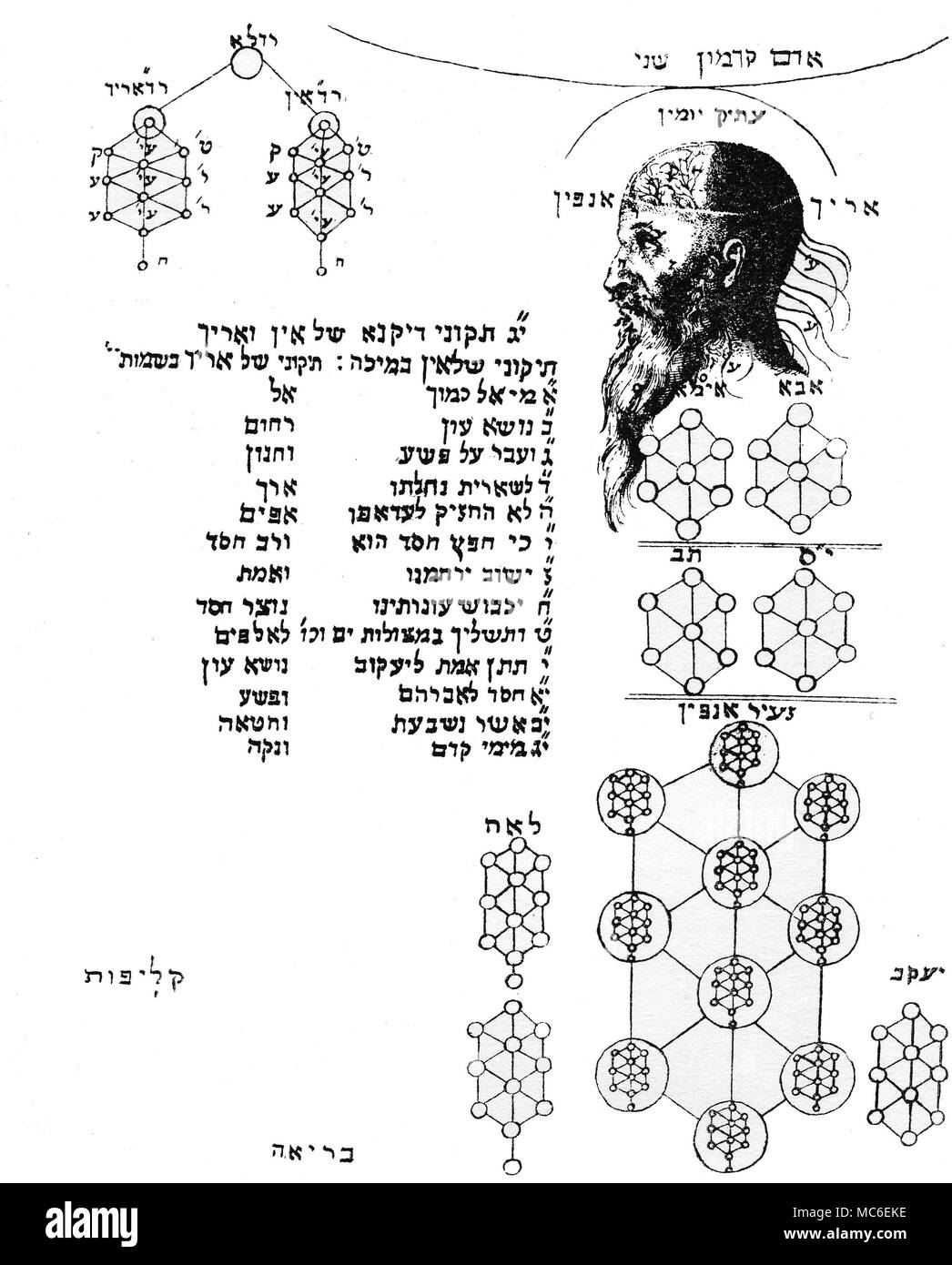 ADAM KADMON KABBALE - Le chef de l'Adam Kadmon, le plus ancien, l'homme primordial, ou premier Adam. C'est à partir de ce chef spirituel (créé par En-Sof) qui s'égoutte la rosée qui forme les nombreux mondes. Entourant la tête sont l'apparition de sephiroth. Les trois premières sephiroth sont formées au sein de la tête elle-même : Kether, est la Couronne, Chokmah et Binah, l'intelligence, l'intelligence ou de compréhension. Cela implique que l'ensemble du cadre d'Adam Kadmon n'est rien d'autre que l'extériorisation de la douze, Sephiroth de l'arbre. Knorr von Rosenroth de schéma, Kabbala Denudata, Banque D'Images