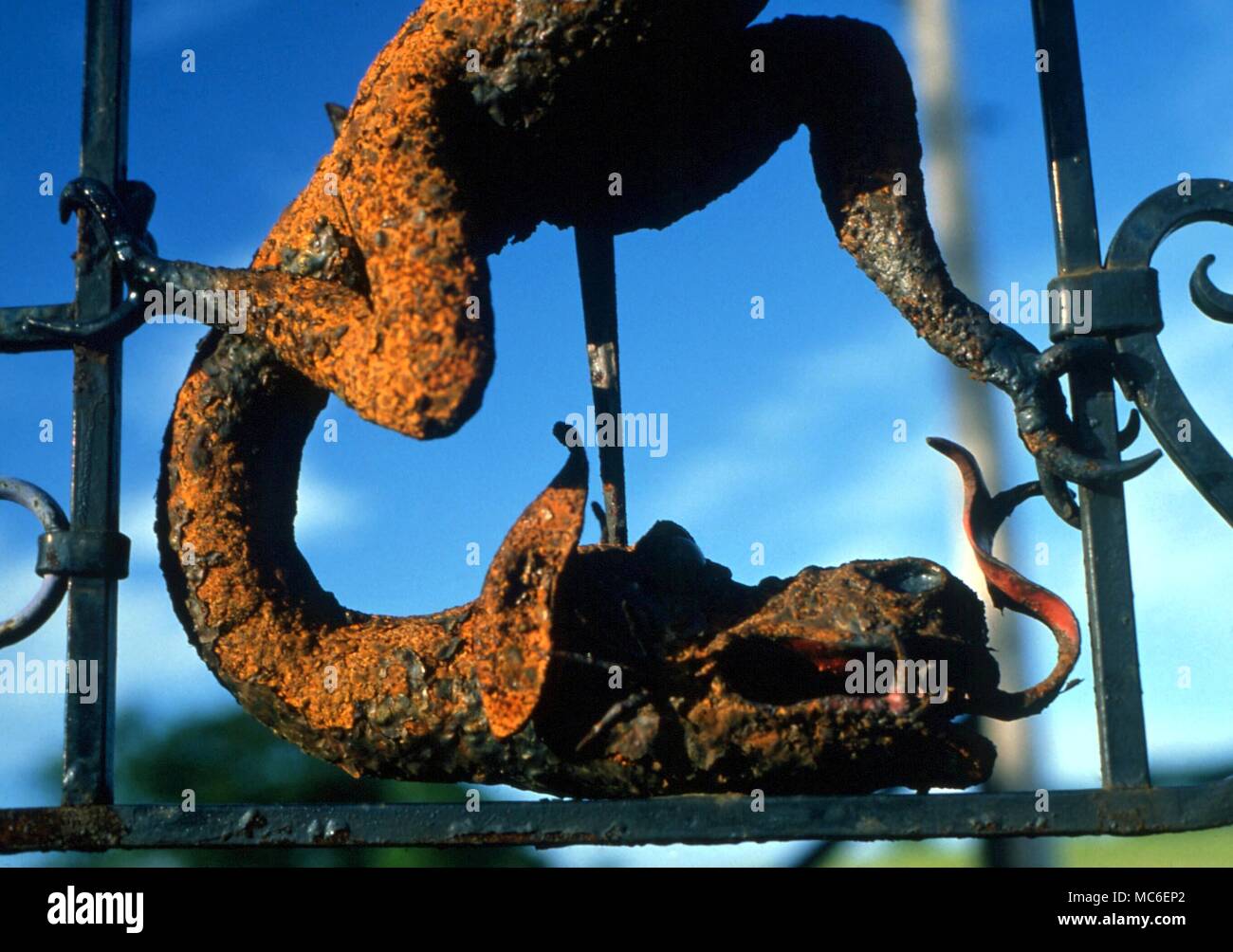 Dragon celtique en fer forgé parmi un ensemble d'images celtiques entrelacés près de la porte d'une chambre privée à Gartachoil, Ecosse Banque D'Images