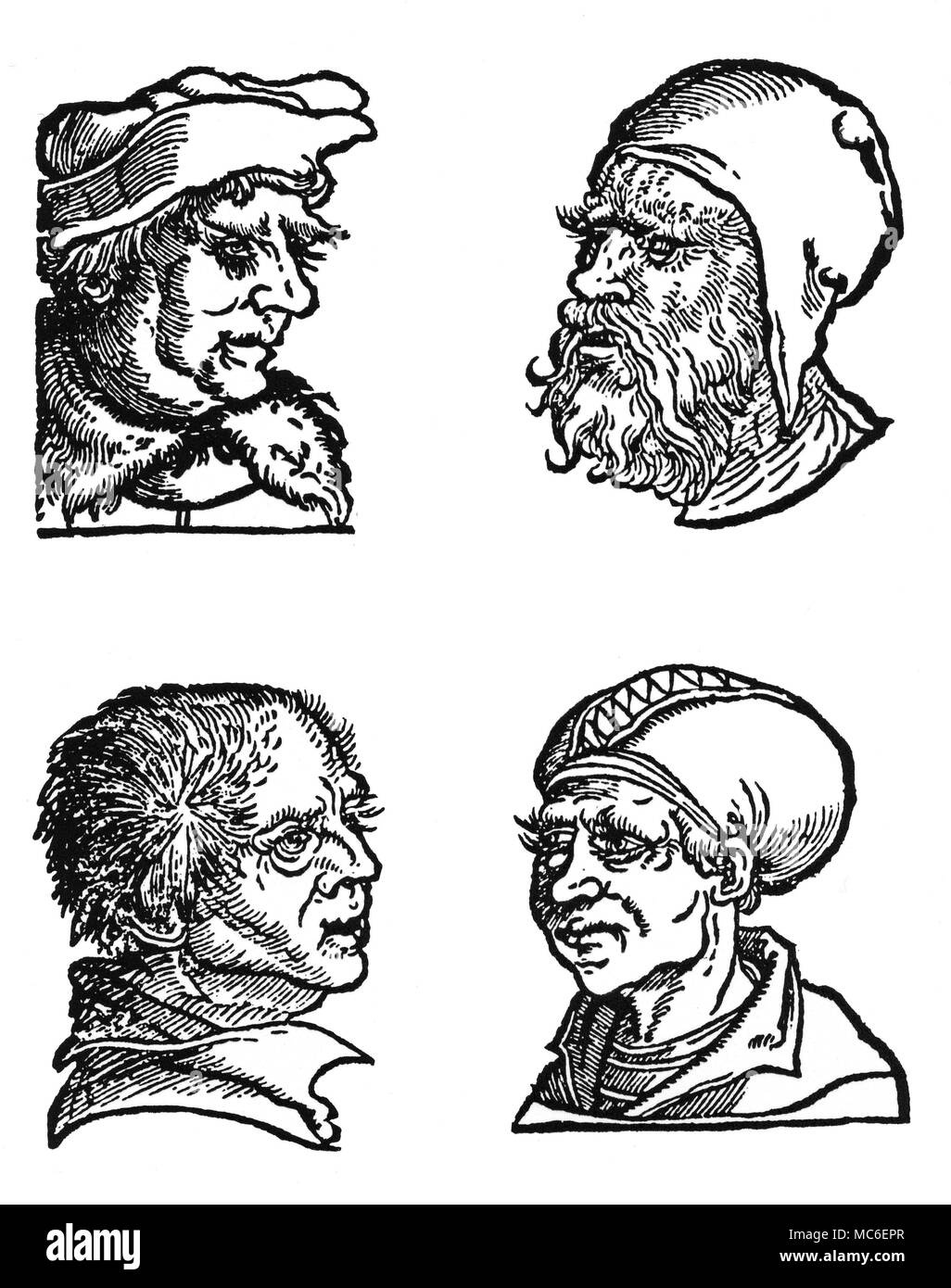 Quatre têtes de physionomie, d'illustration de physiognomical, traits de Barthelmy Cocles, Physiognomia, 1533. [Haut] gauche cils et de l'apparence générale d'un homme qui est vainglorious, audacieux et fier. [Haut] droit de la barbe et de l'apparence d'un individu d'une nature autoritaire et brutal. [En bas à gauche] cheveux d'une personne d'esprit épais. [Droit] cils du bas d'un homme qui est d'une nature audacieuse et vainglorious. Banque D'Images