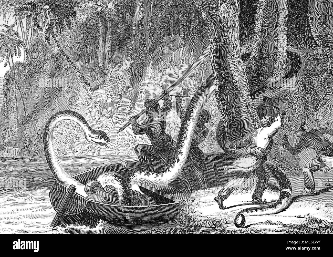Un boa géant monstres d'attaquer un homme dormant dans un bateau. Banque D'Images