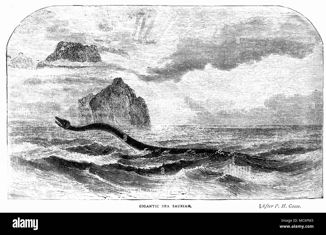 'La Mer' gigantesque Surian - woodengraving de monstre marin, d'après le célèbre imprimer utilisée pour illustrer l'histoire naturelle du gosse. Banque D'Images