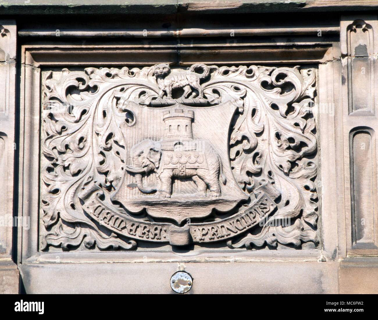 Bas-relief des armoiries de la ville de Coventry, avec le célèbre chat héraldique. Sur la façade de l'Hôtel de Ville, Coventry Banque D'Images