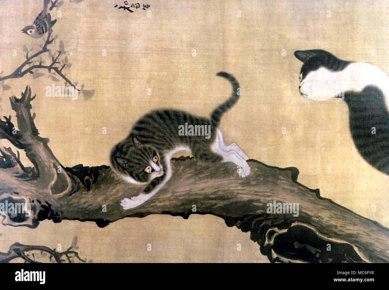 Cat et Sparrow - peinture du 18e siècle Banque D'Images