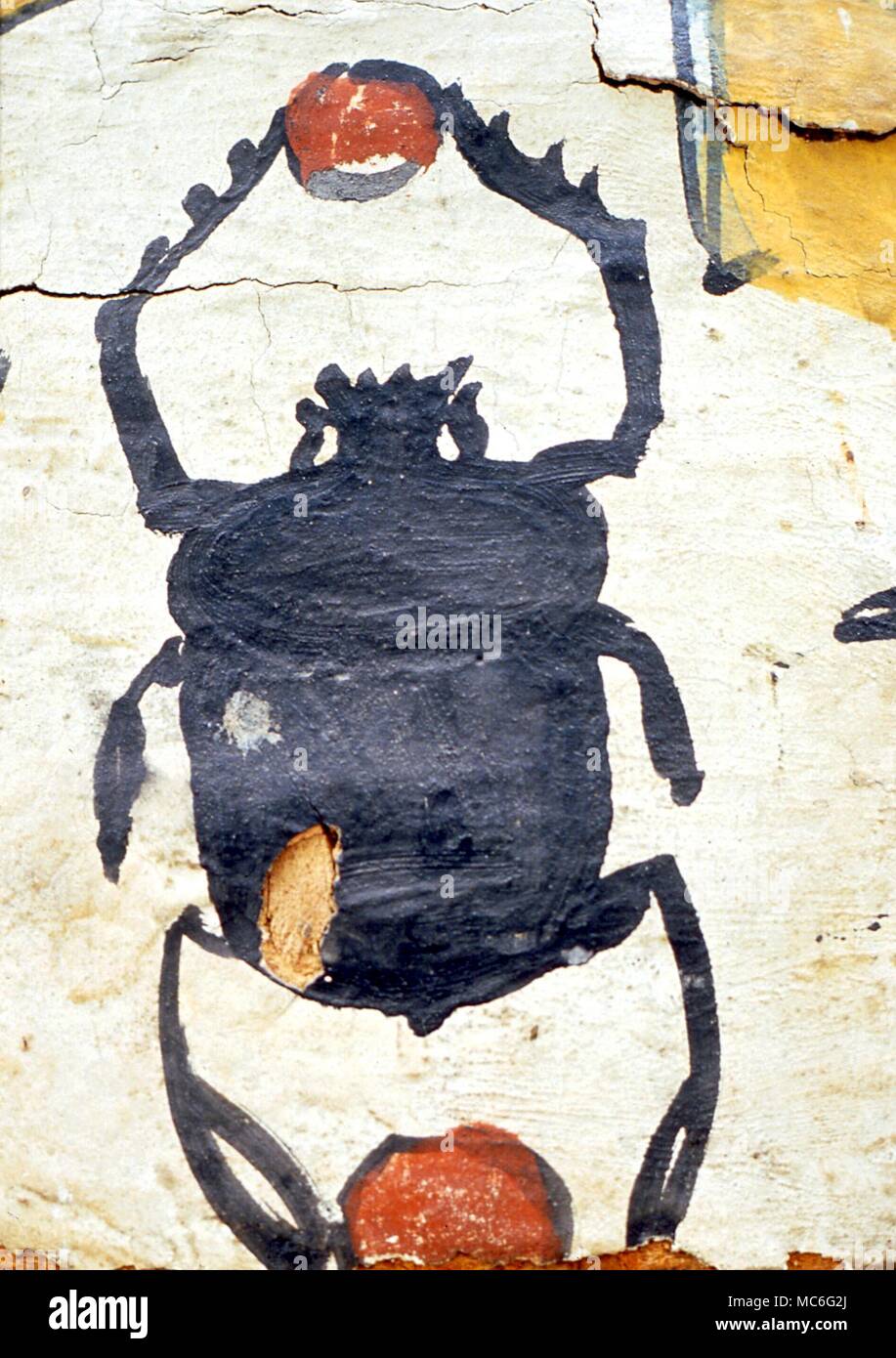 Animaux - Scarabeus beetle, tenant une image du soleil, symbole d'Horus. Détail d'une momie de la période ptolémaïque de la région de l'Egypte Karnak Banque D'Images